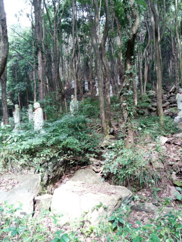公司活動